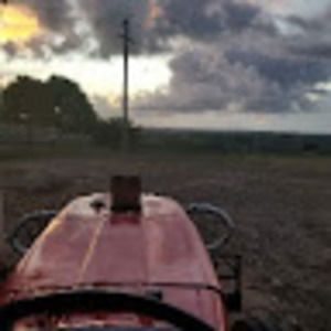 Meet your Posher, Javed